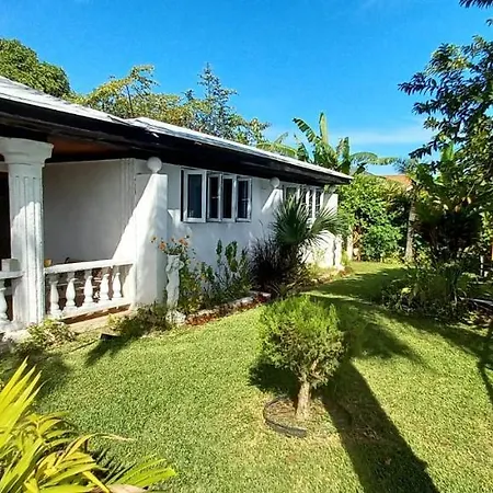 Garden In Paradise